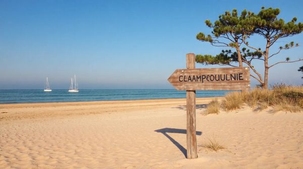 Top astuces pour sélectionner un camping sur l'île d'Oléron